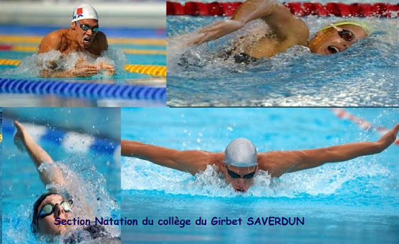 Section natation.png